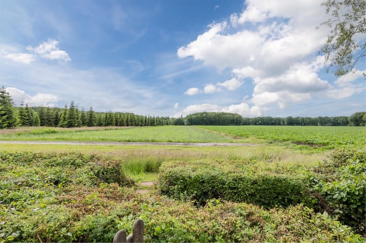 Foto 48 van Sportlaan 34