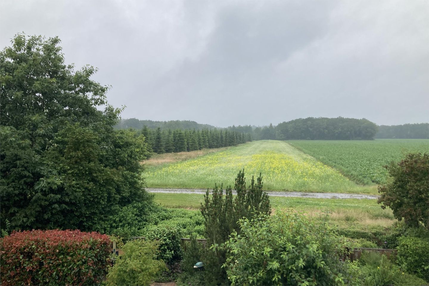 Foto 49 van Sportlaan 34