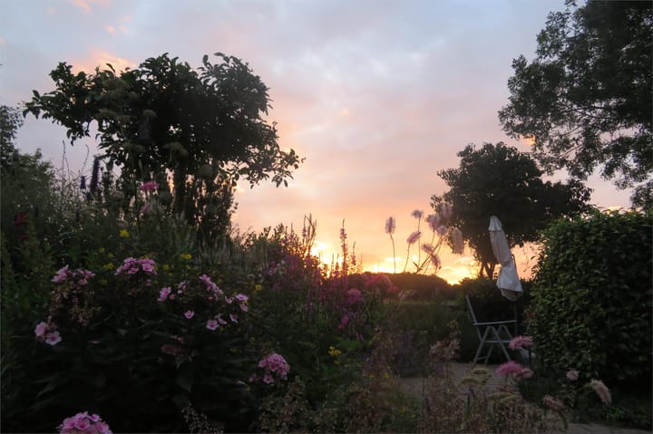 Foto 51 van Sportlaan 34