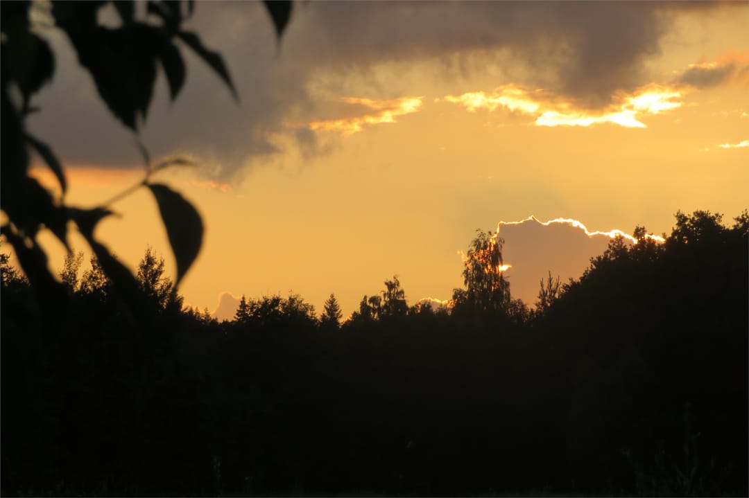 Foto 52 van Sportlaan 34