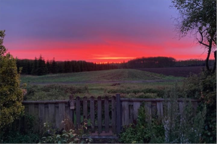 Foto 54 van Sportlaan 34