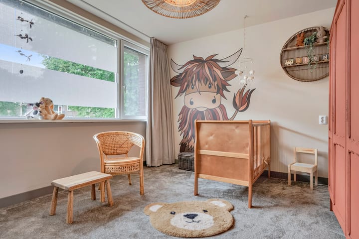 Foto 32 van Maassingel 57