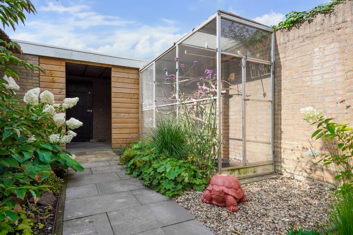 Foto 48 van Maassingel 57