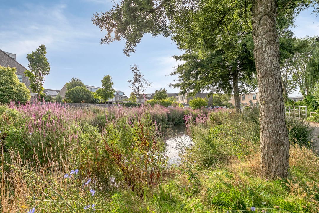 Foto 32 van Bloemenschans 114