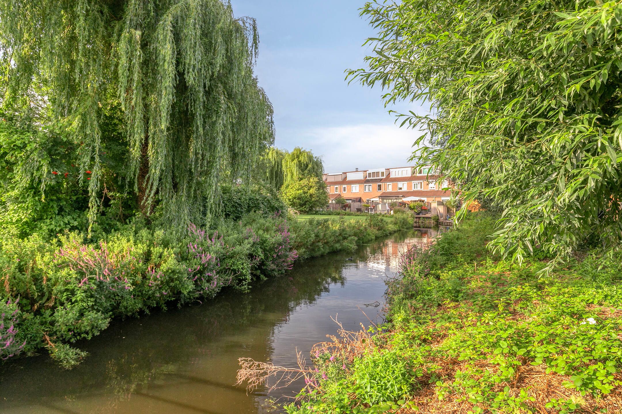 Foto 33 van Bloemenschans 114