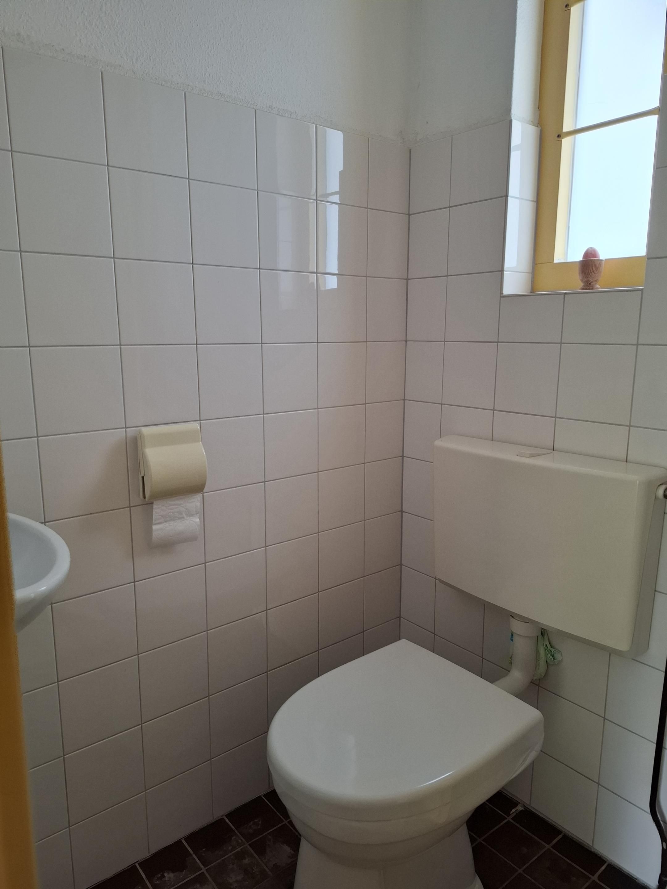 Foto 6 van IJzertijdkreek 2