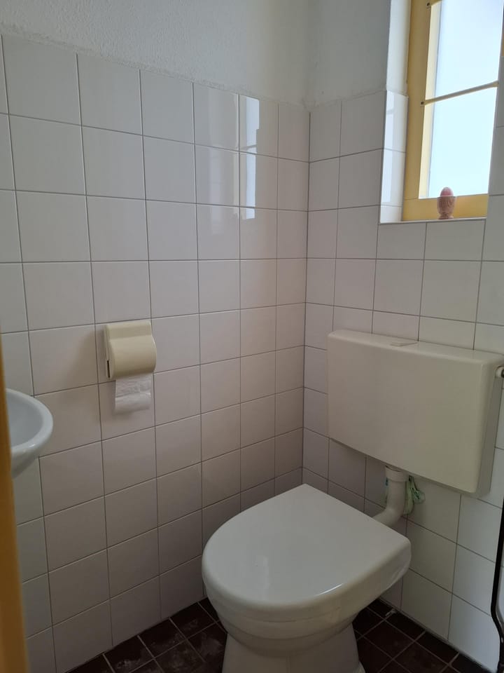 Foto 6 van IJzertijdkreek 2