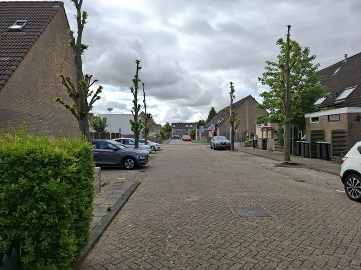 Foto 13 van IJzertijdkreek 2