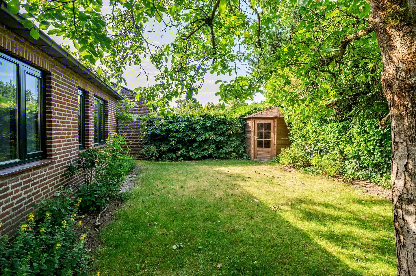 Foto 50 van Tacituslaan 11