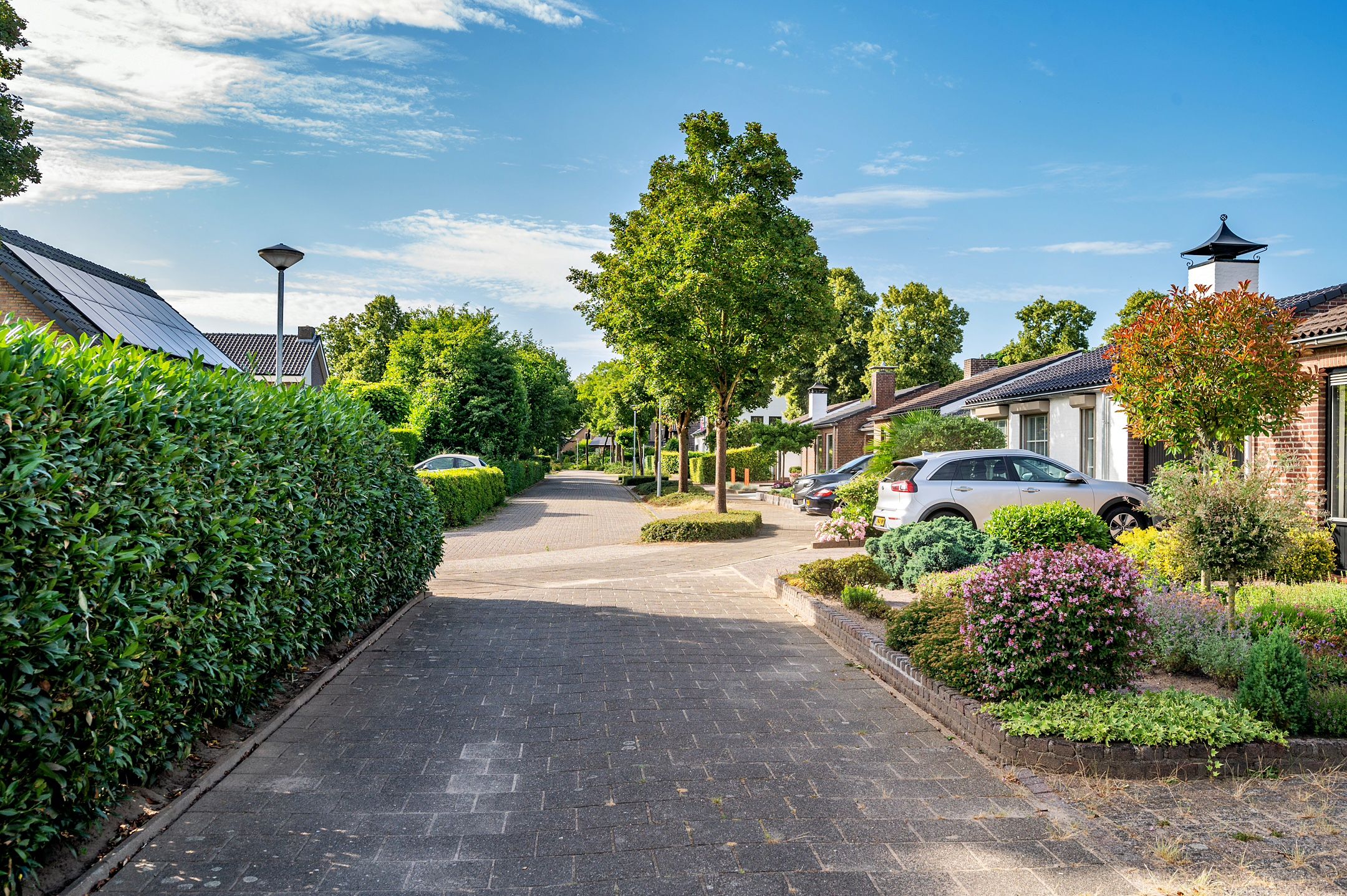 Foto 51 van Tacituslaan 11