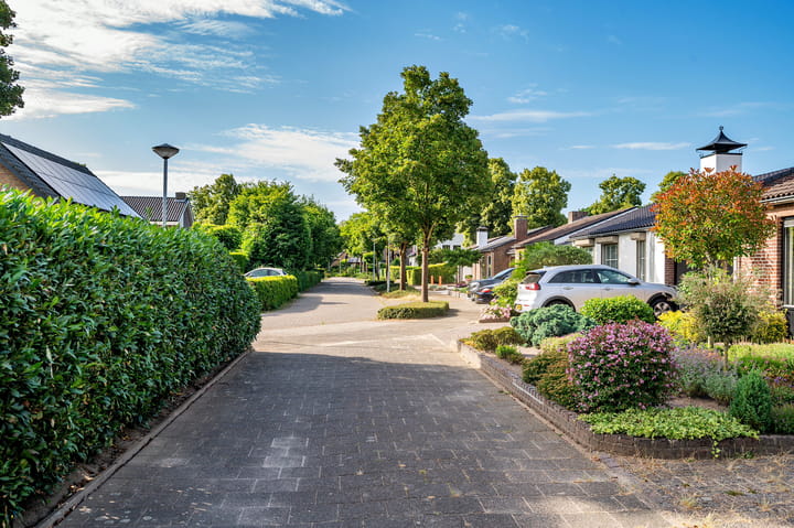 Foto 51 van Tacituslaan 11