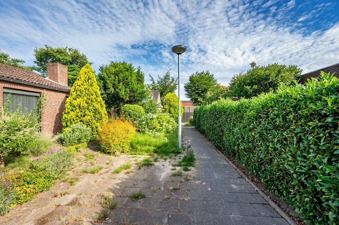 Foto 52 van Tacituslaan 11