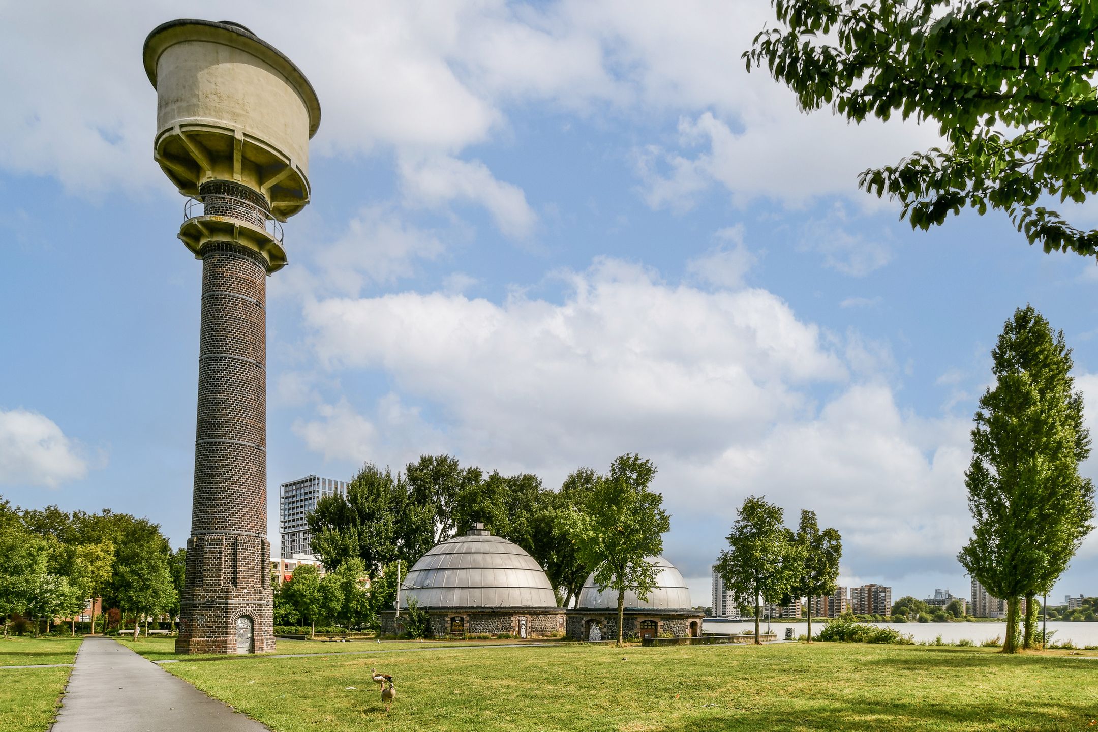 Foto 21 van Rosestraat 1191