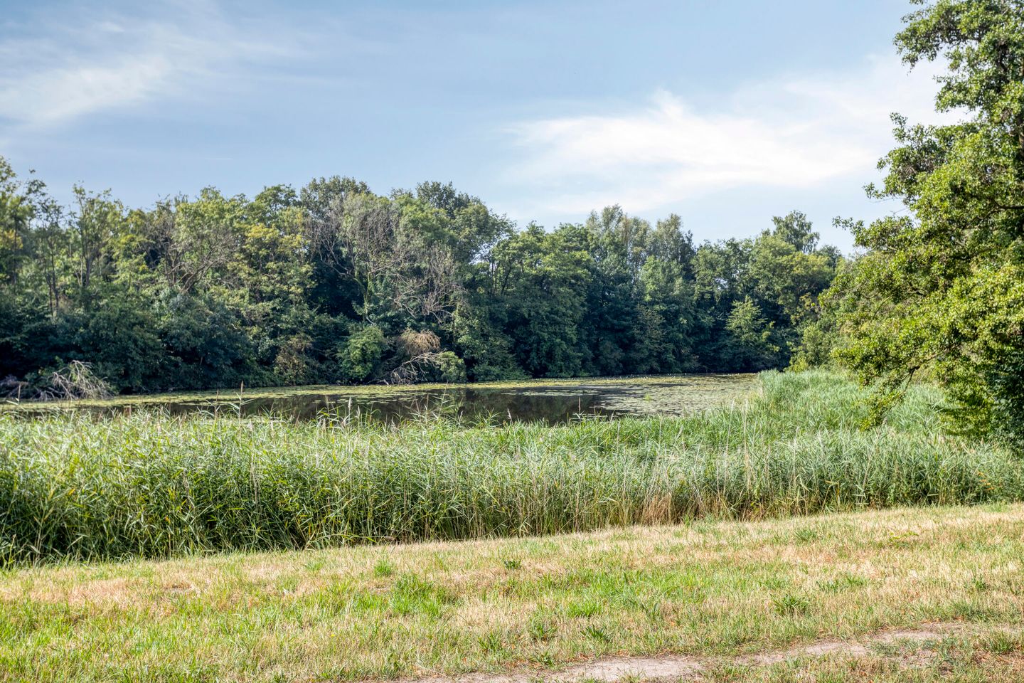 Foto 25 van Sweelinckplein 61