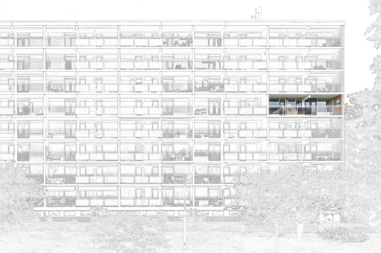 Foto 29 van Spechtlaan 301