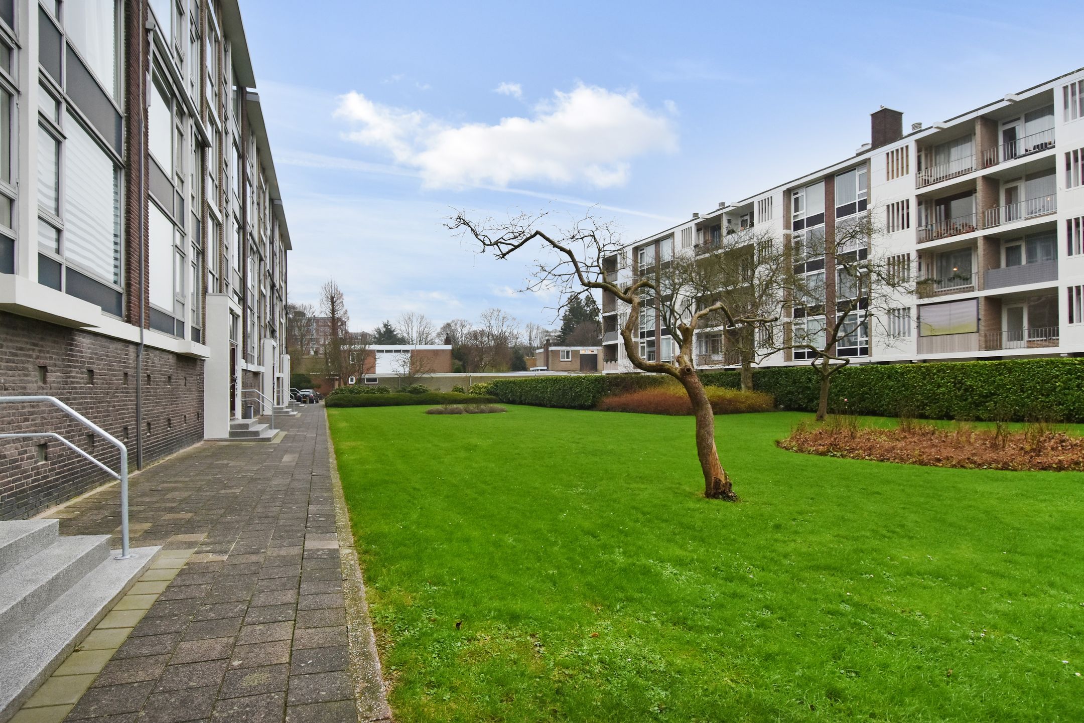 Photo 3 of Smaragdhorst 279