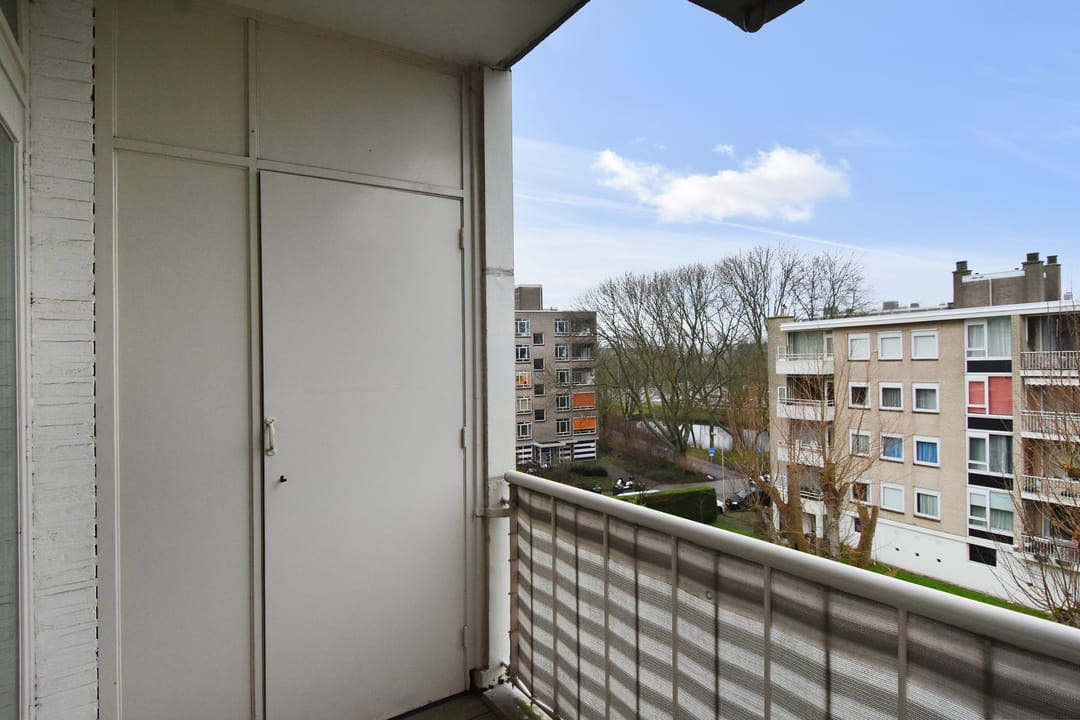 Photo 16 of Smaragdhorst 279