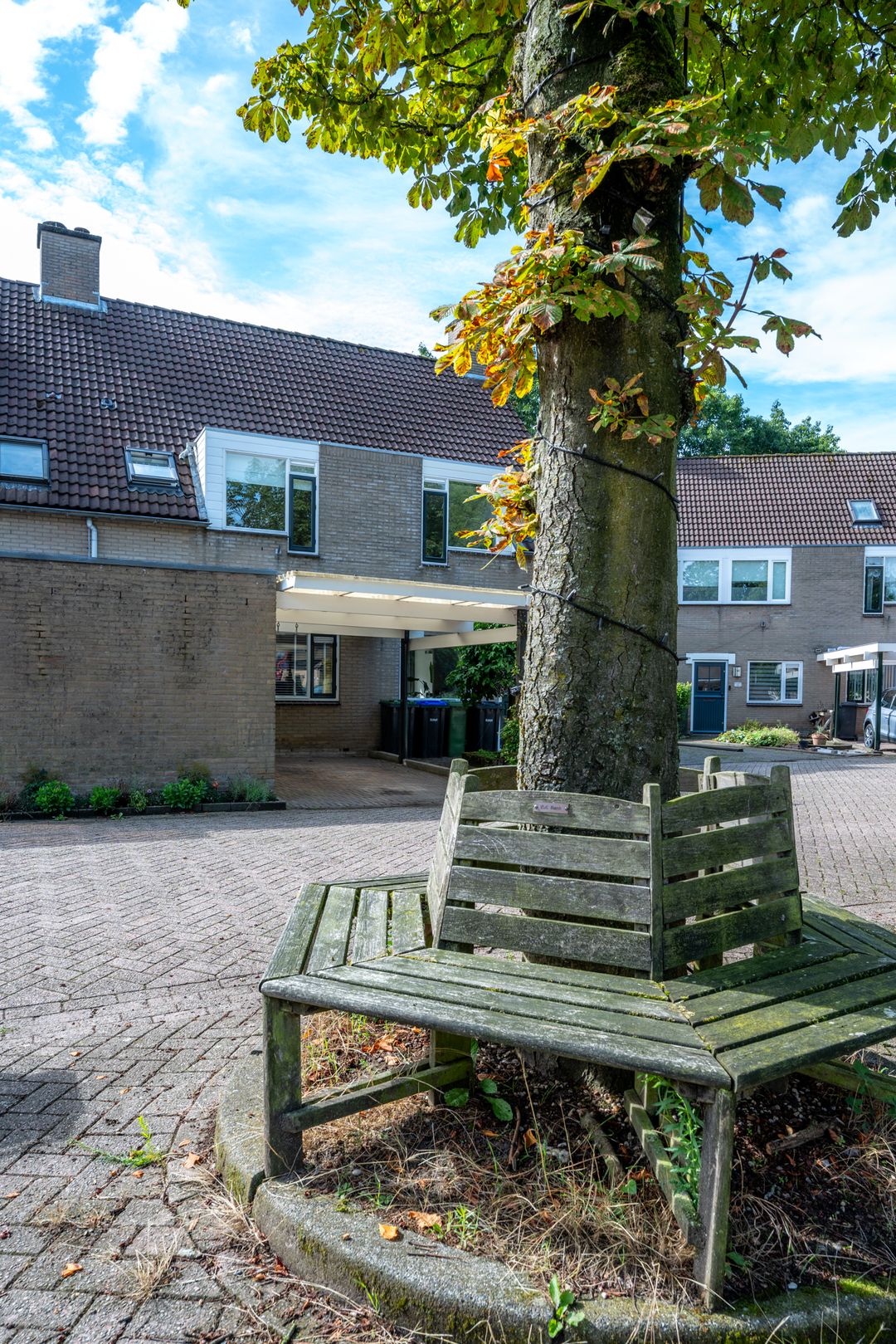 Foto 43 van Trompethof 10