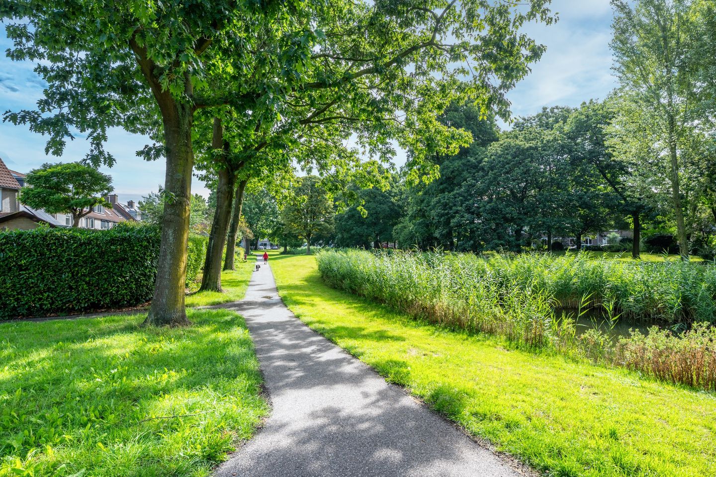 Foto 44 van Trompethof 10