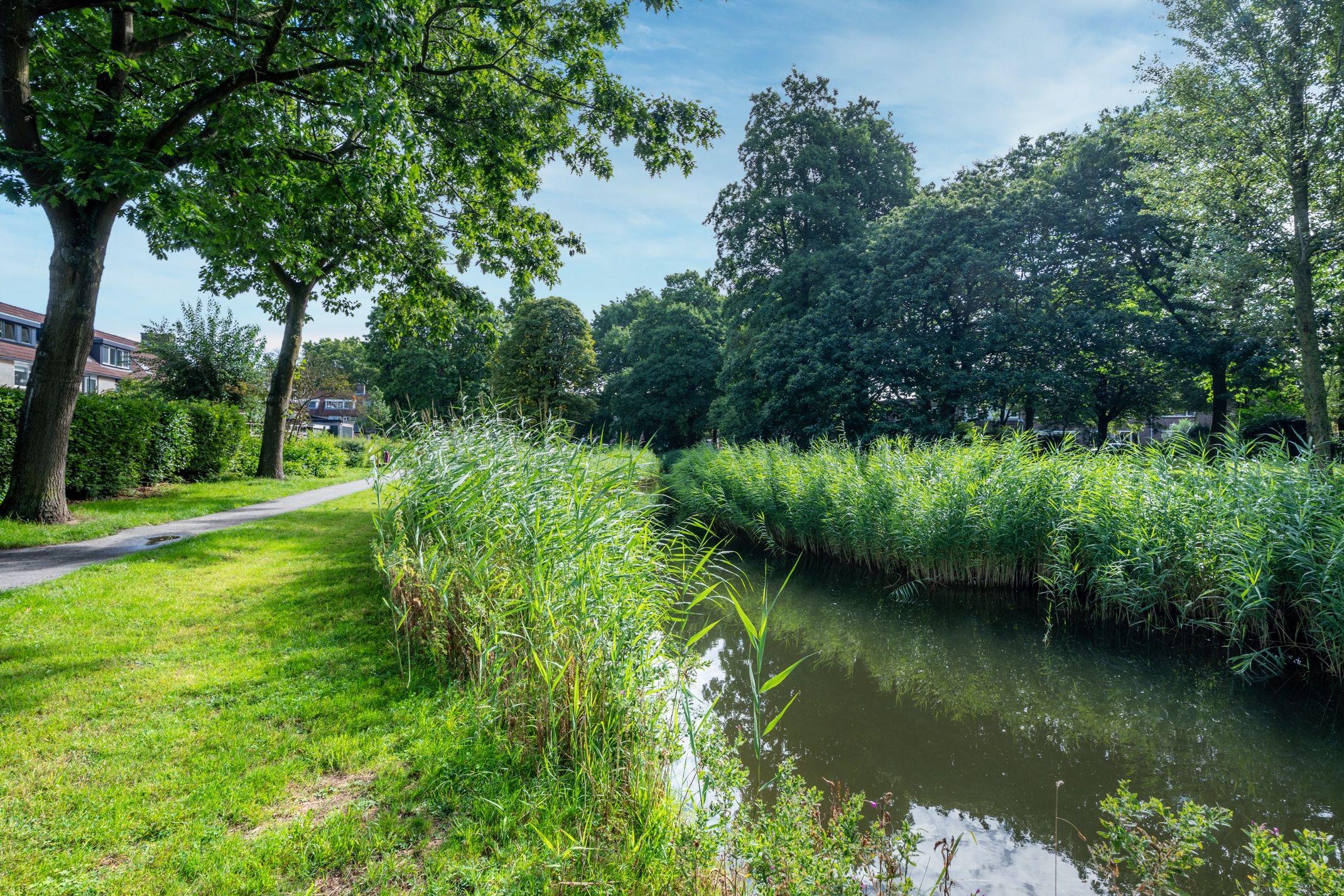 Foto 45 van Trompethof 10