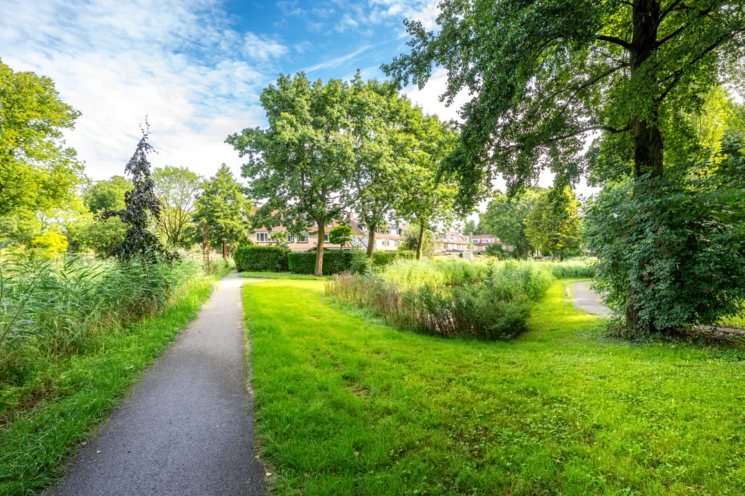 Foto 46 van Trompethof 10