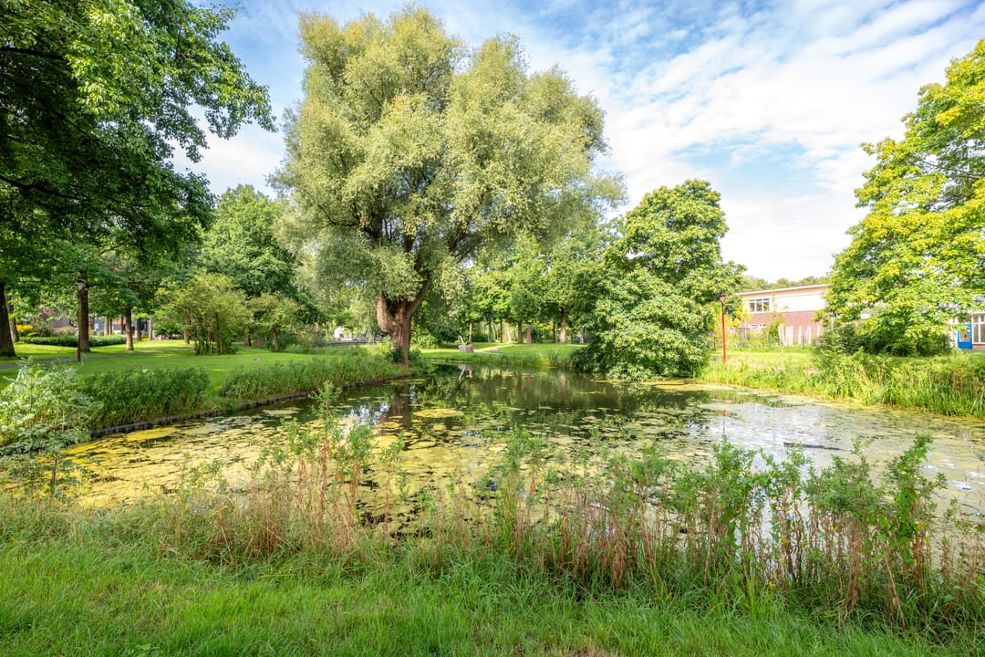 Foto 47 van Trompethof 10