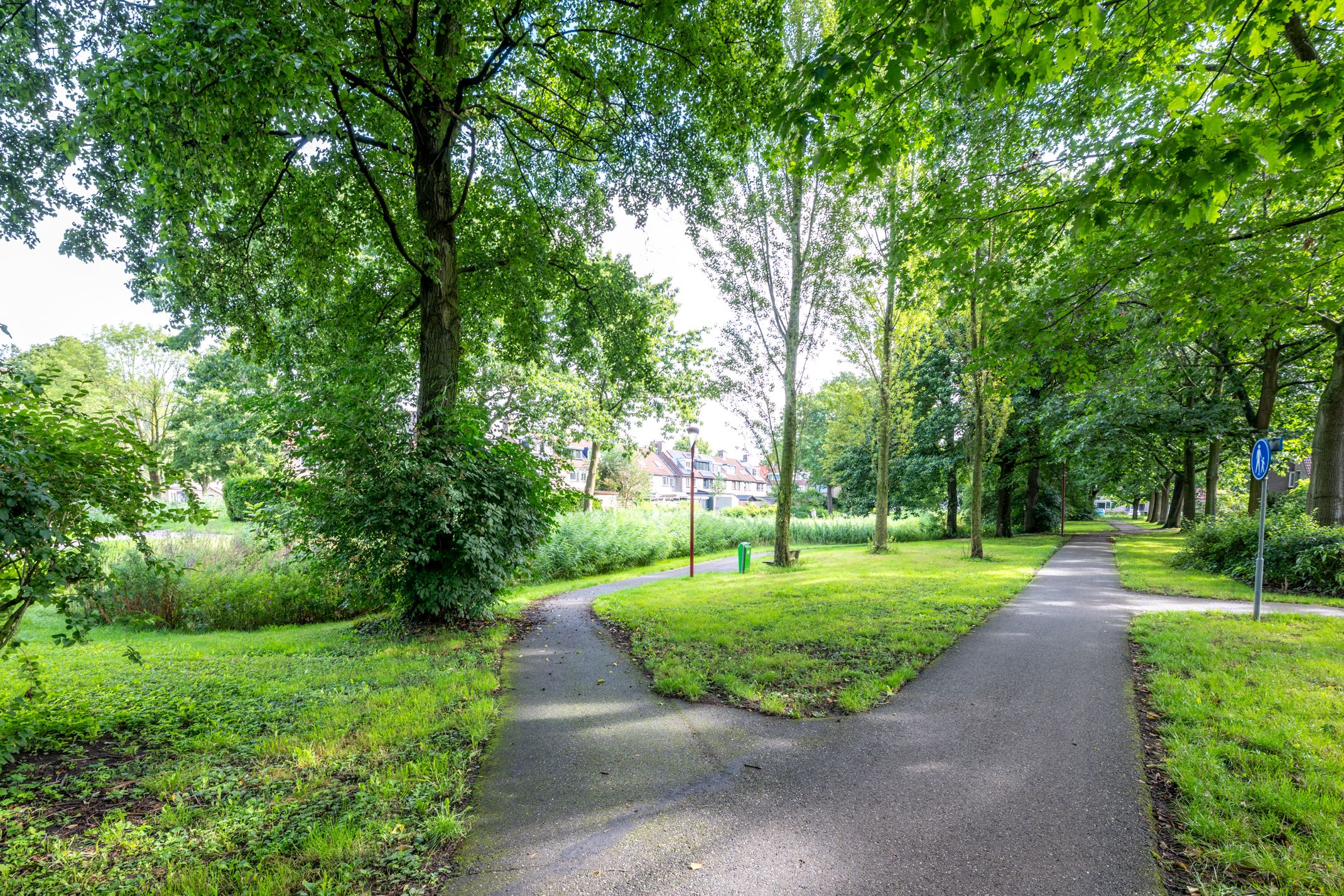 Foto 48 van Trompethof 10