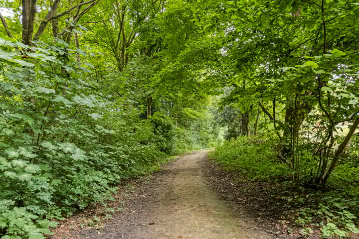 Foto 36 van Verfmolen 96