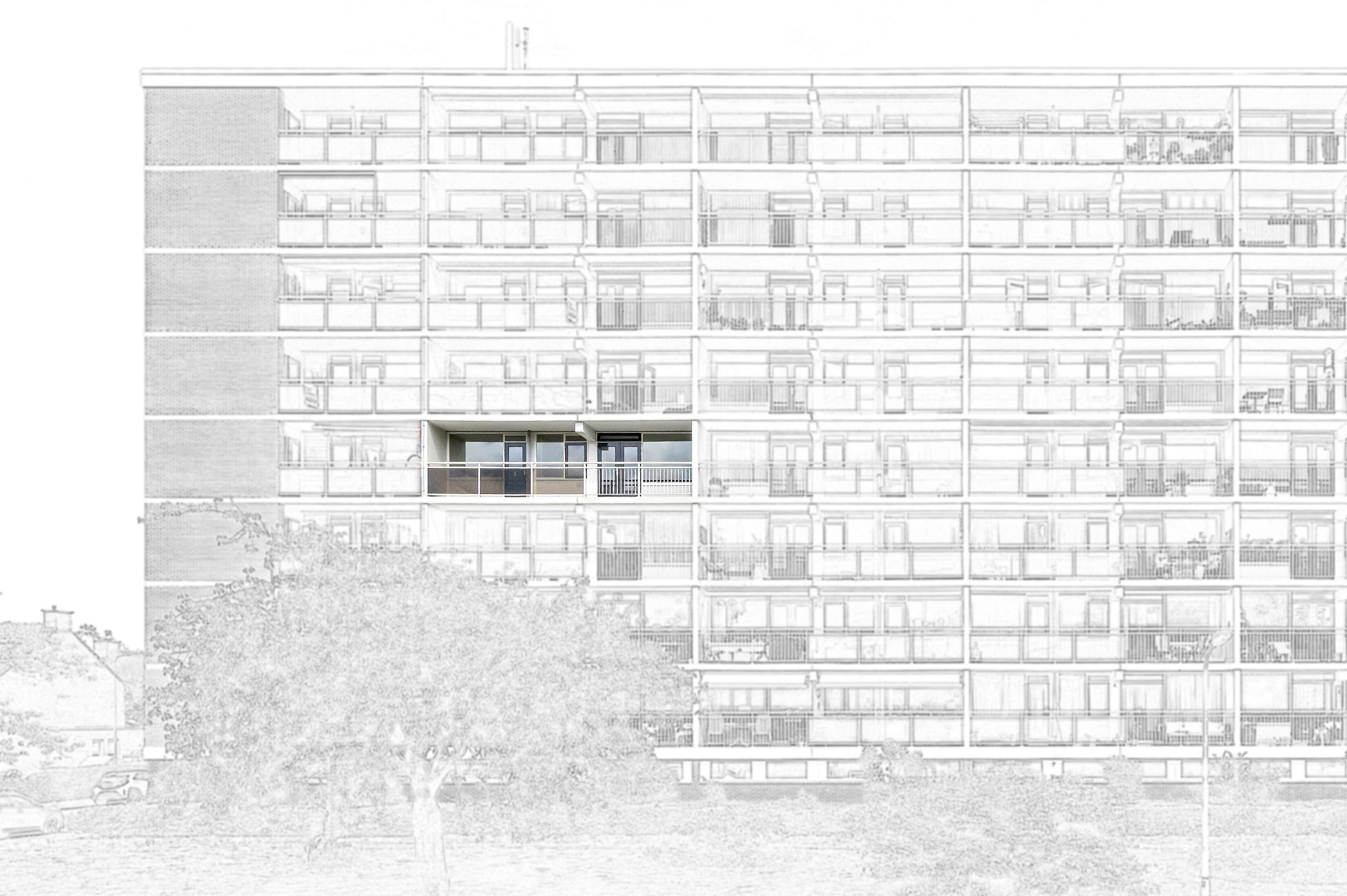 Foto 27 van Spechtlaan 363