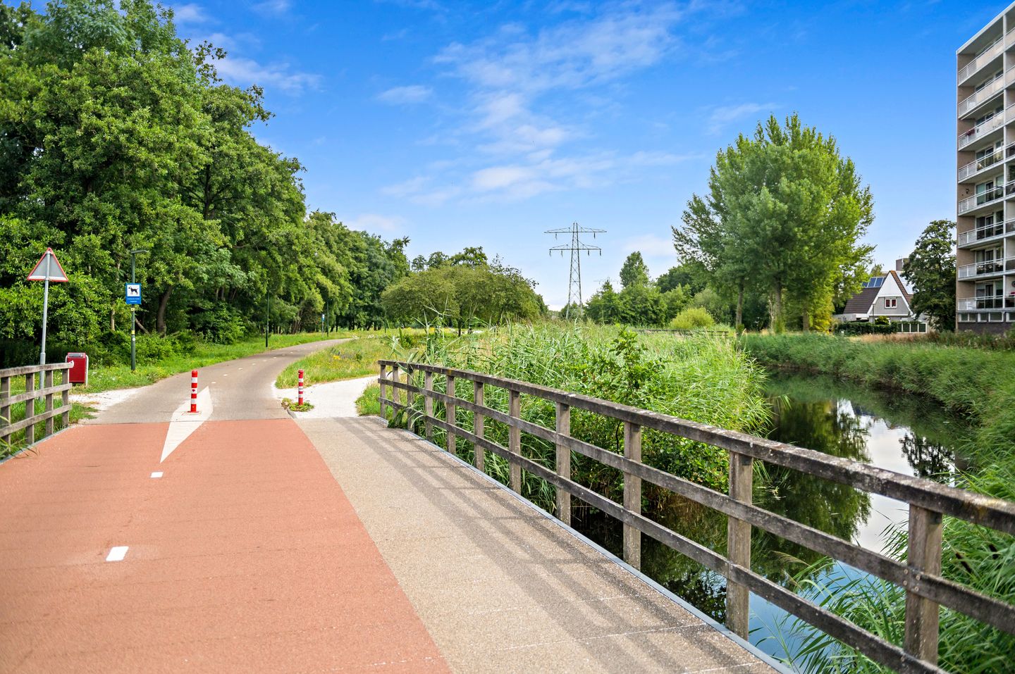 Foto 40 van Spechtlaan 363