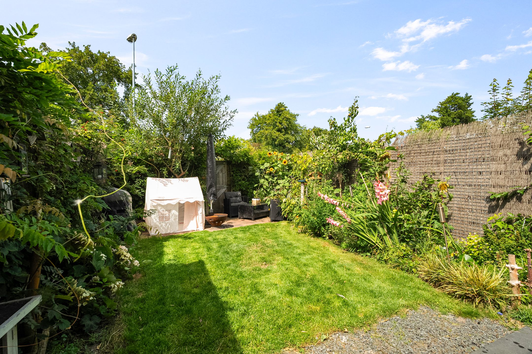 Photo 24 of Kruiszwin 4418