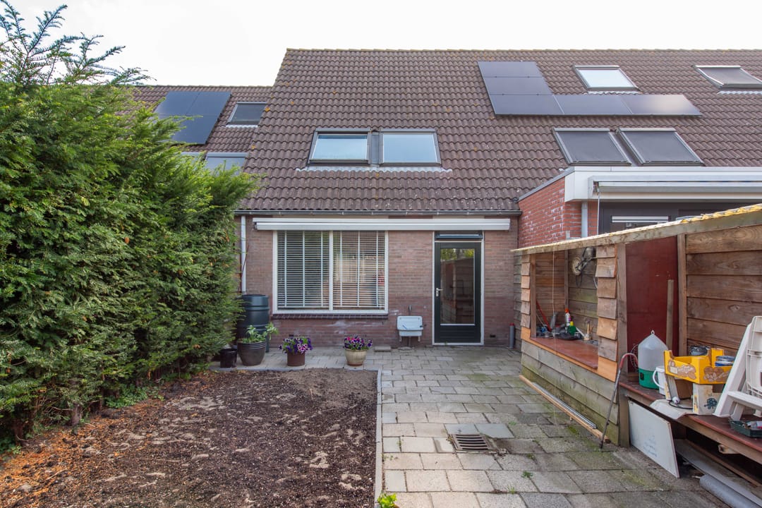 Foto 2 van Luilaantje 9