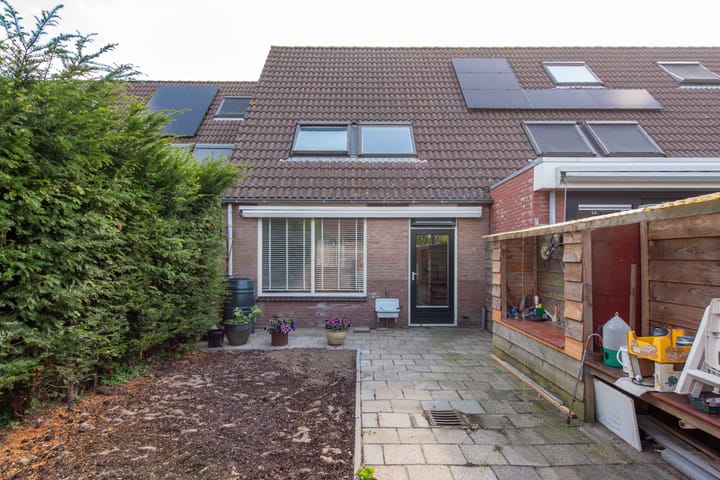 Foto 2 van Luilaantje 9