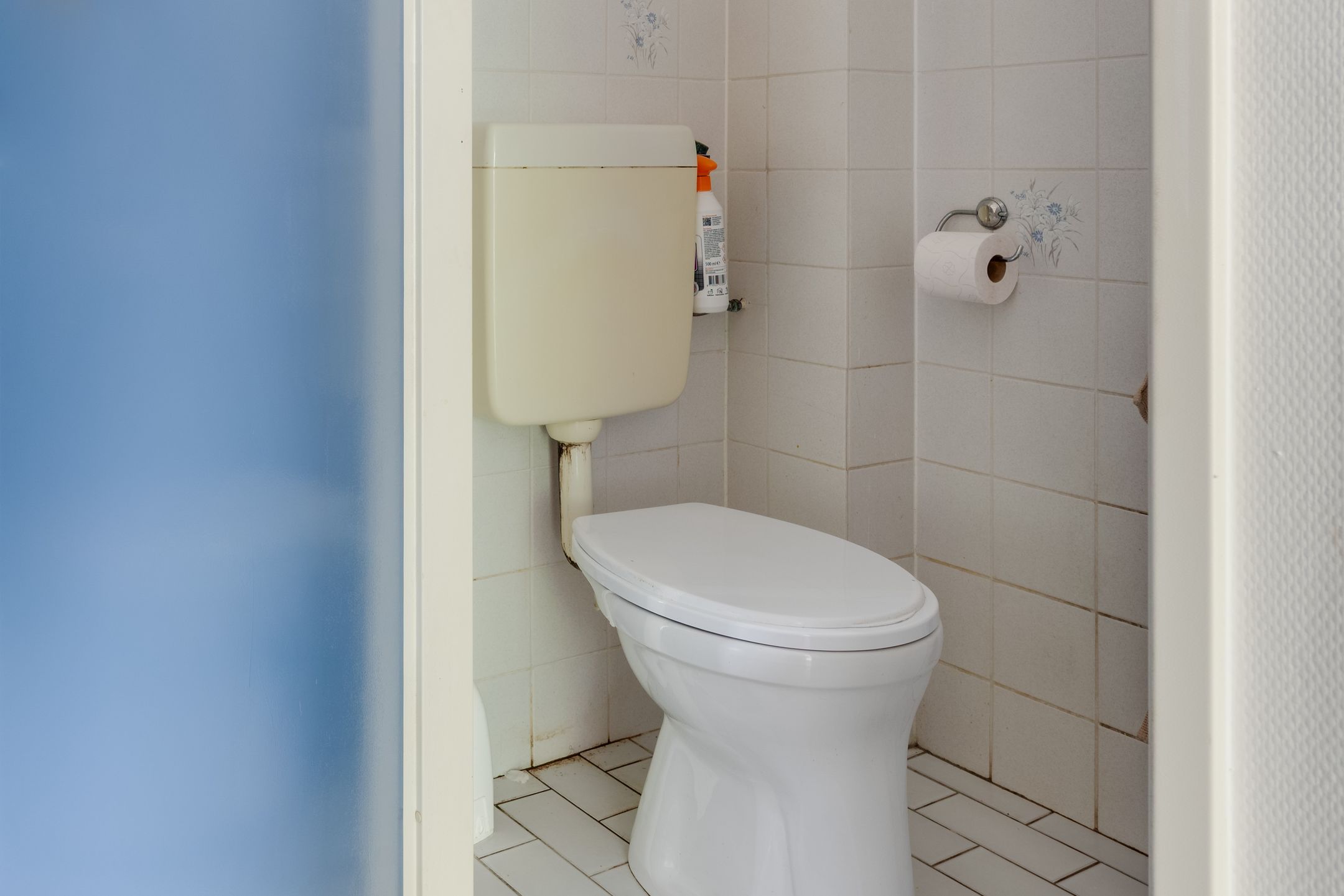 Foto 12 van Luilaantje 9