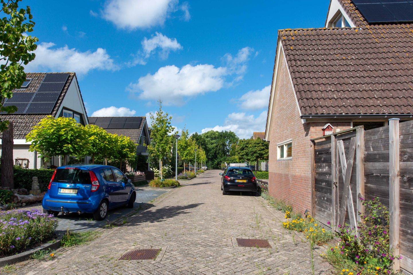 Foto 20 van Luilaantje 9