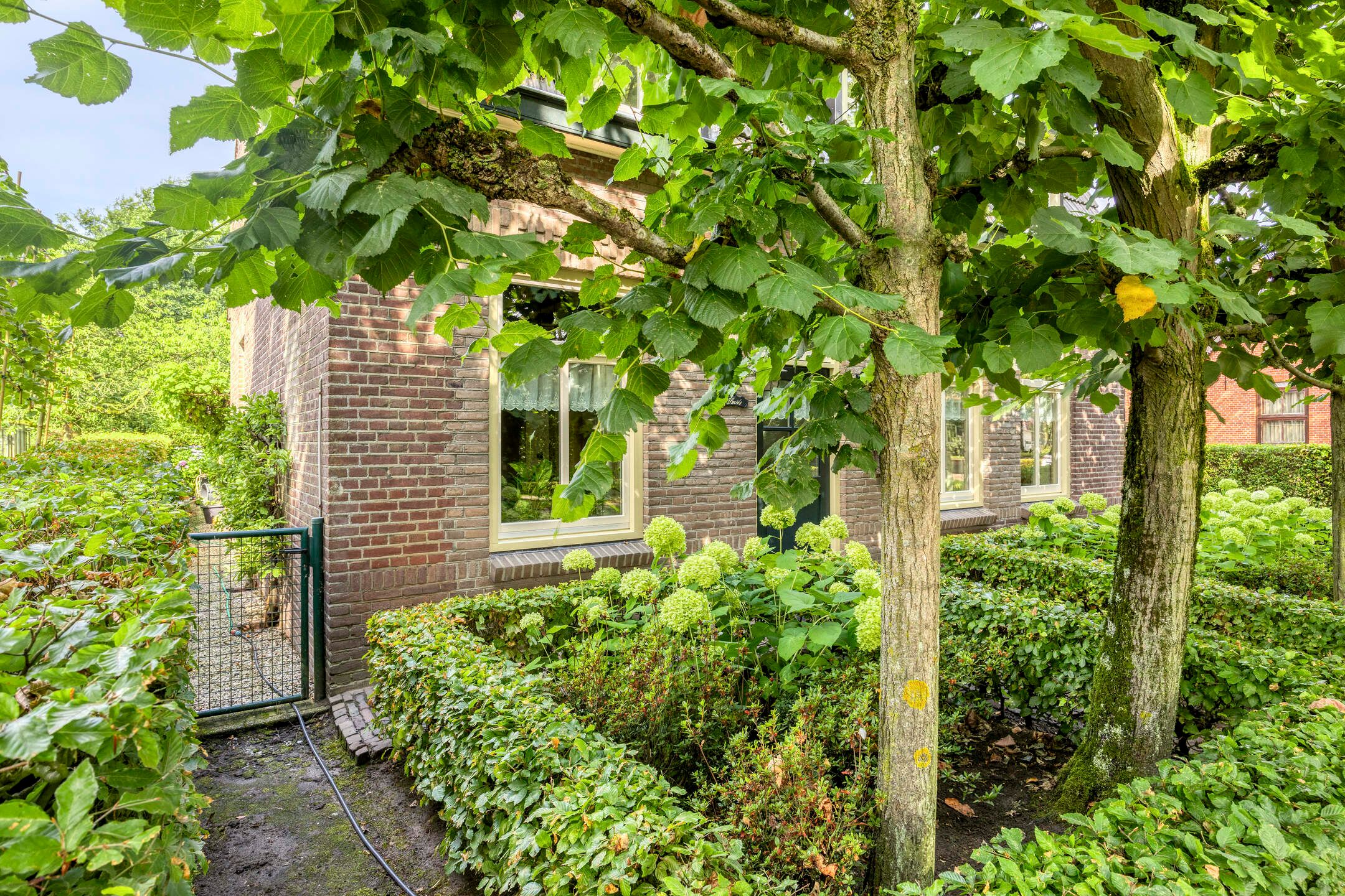 Photo 3 of St. Cornelisstraat 13