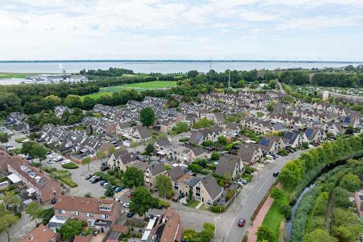 Foto 2 van Mantelschelp 6