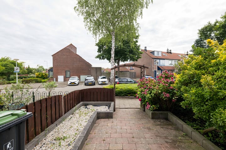 Foto 4 van Mantelschelp 6