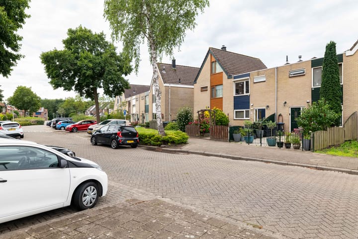 Foto 6 van Mantelschelp 6