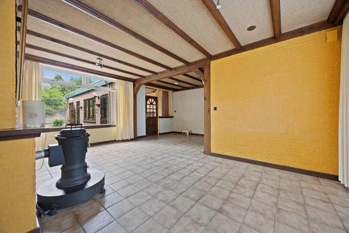 Photo 2 of Hondsklauw 5