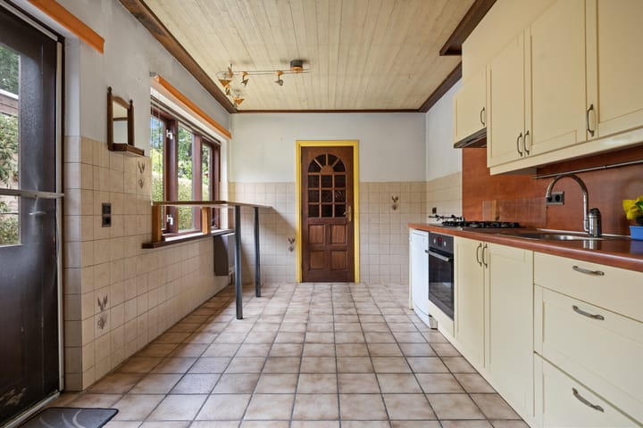 Photo 3 of Hondsklauw 5