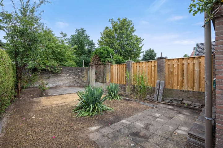 Photo 5 of Hondsklauw 5