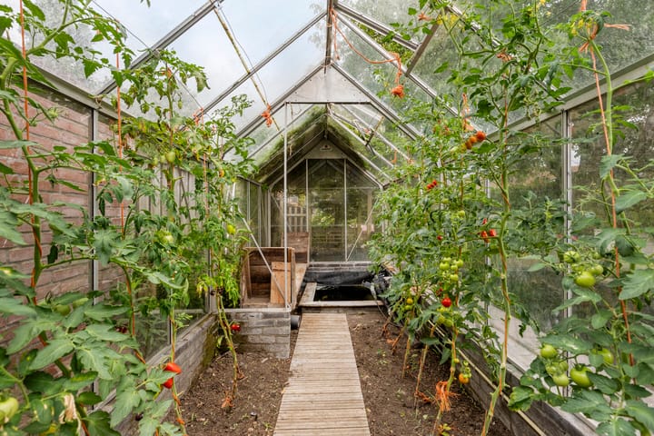 Foto 33 van Draaiboom 15