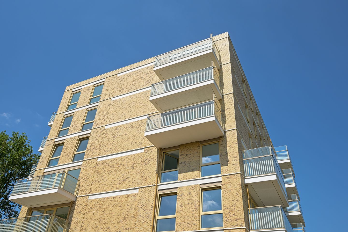 Foto 40 van Boekweitkamp 157