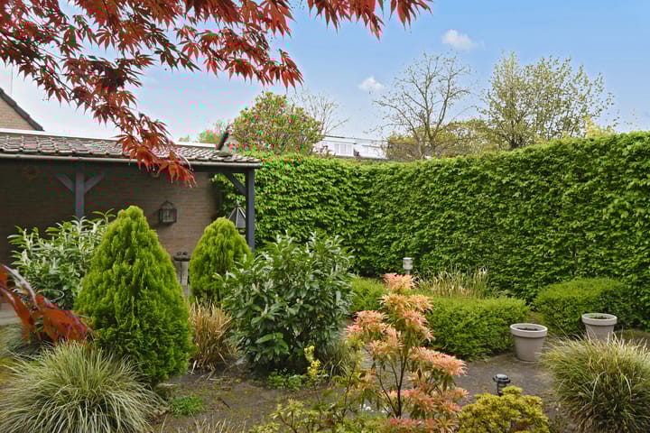 Foto 26 van Bijnenhof 3