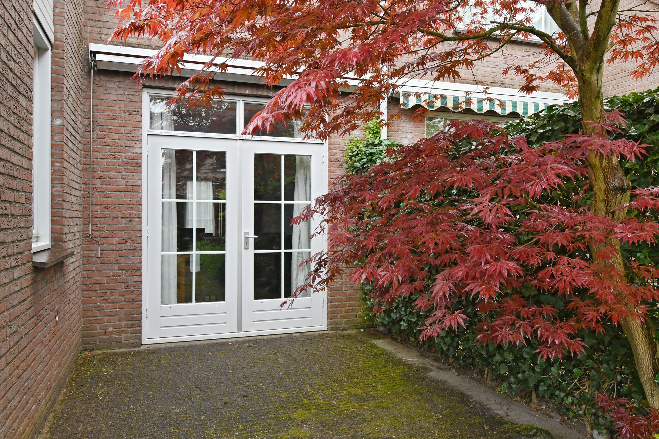 Photo 27 of Bijnenhof 3