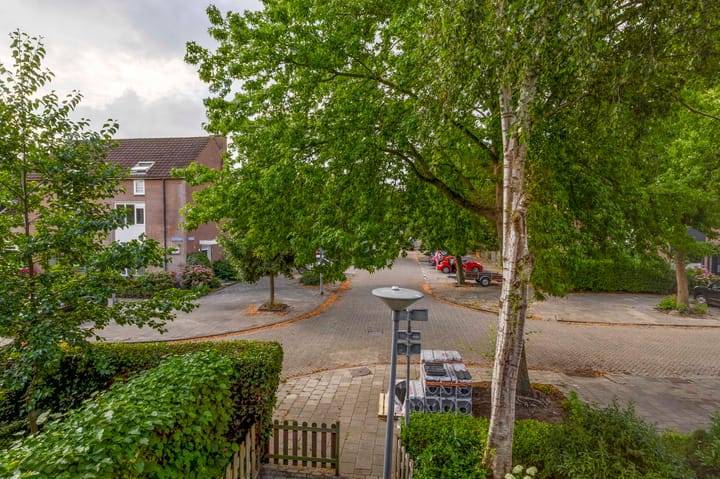 Foto 48 van Boomheide 1