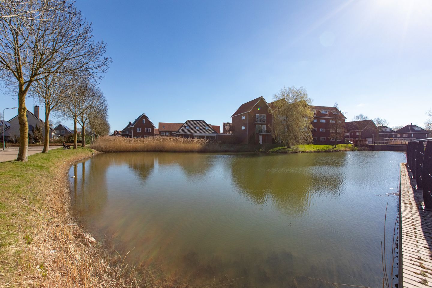 Foto 59 van Vriesschestraat 103