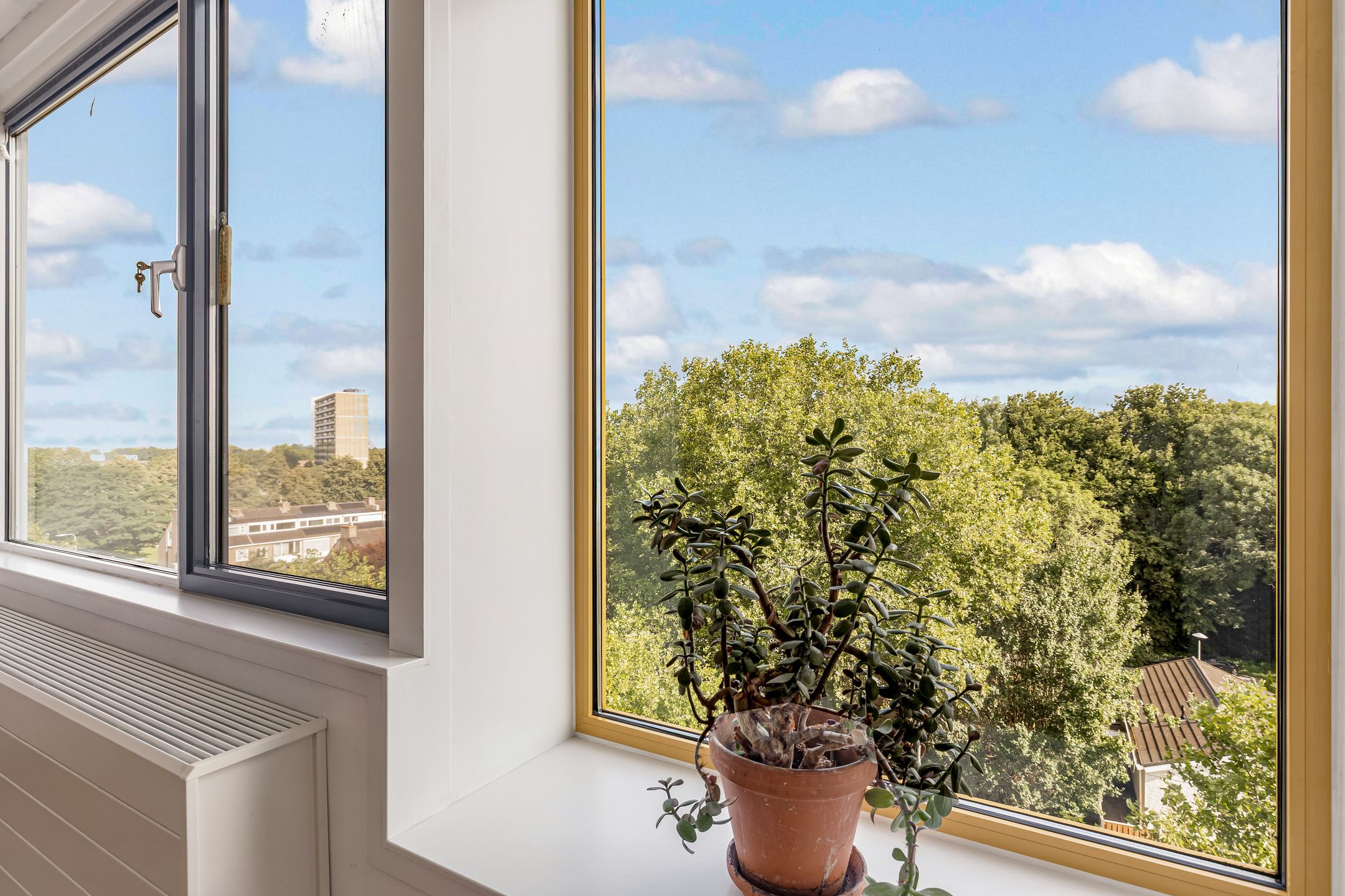 Photo 3 of Kapteynlaan 163