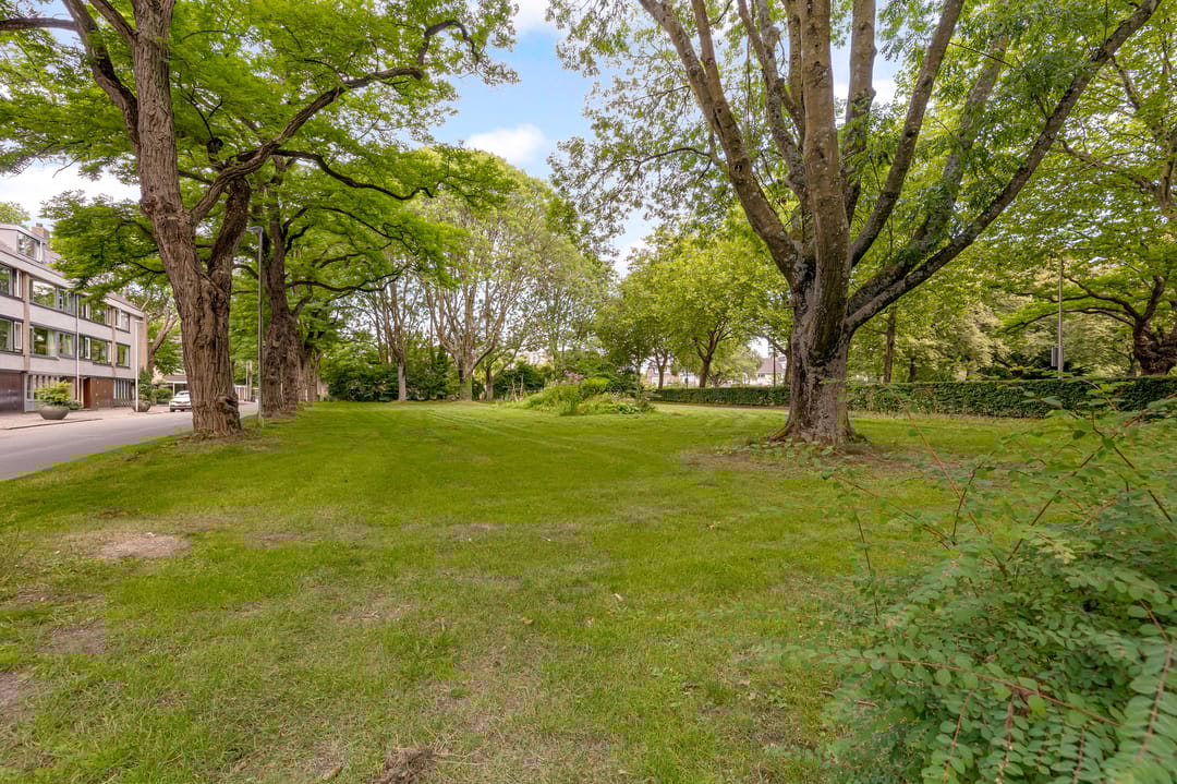 Photo 28 of Kapteynlaan 163